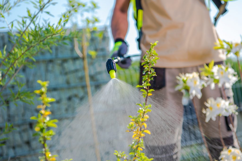 Man spraying weed killer on weeds