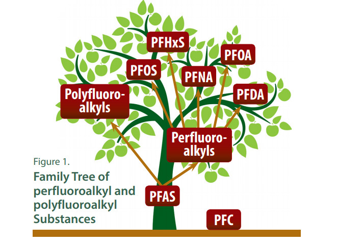 PFAS Family Tree