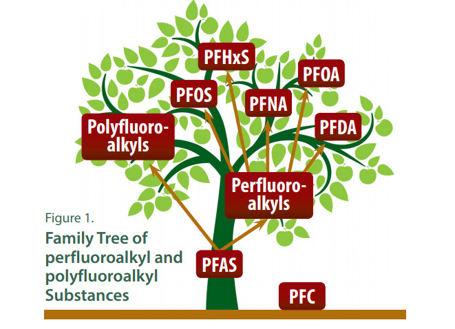 PFAS family tree