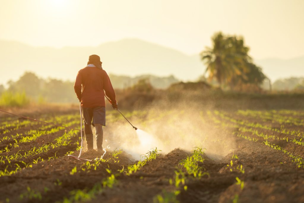 Man spraying herbicide on a farm field