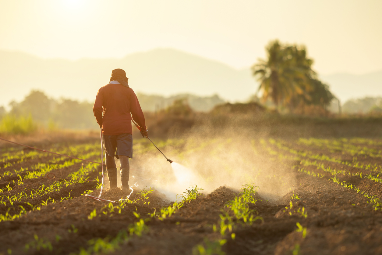 is paraquat used on tobacco What Paraquat? Paraquat Lawsuit Lawyers | Douglas