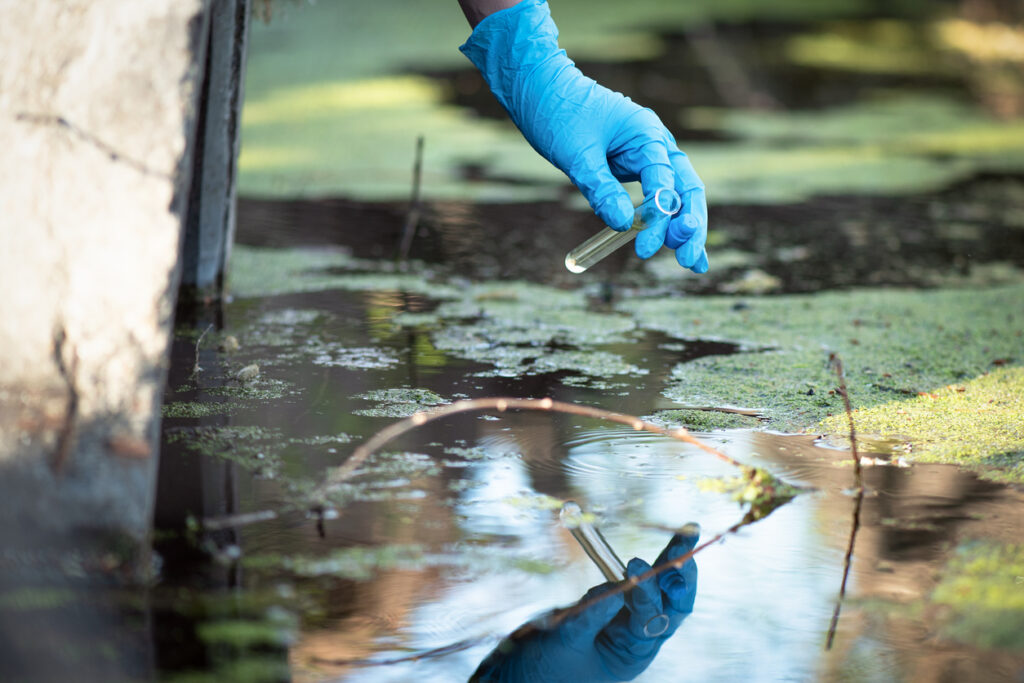 Scientist taking sample in a test tube from contaminated water