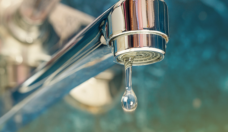 The Truth About PFAS: What the In Our Blood Documentary Reveals About Corporate Negligence